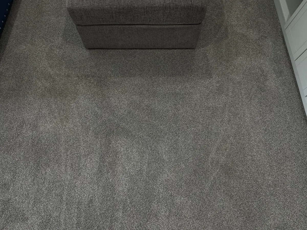 Living room carpet — before