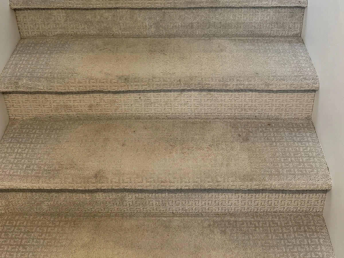 Carpet staircase steps — before